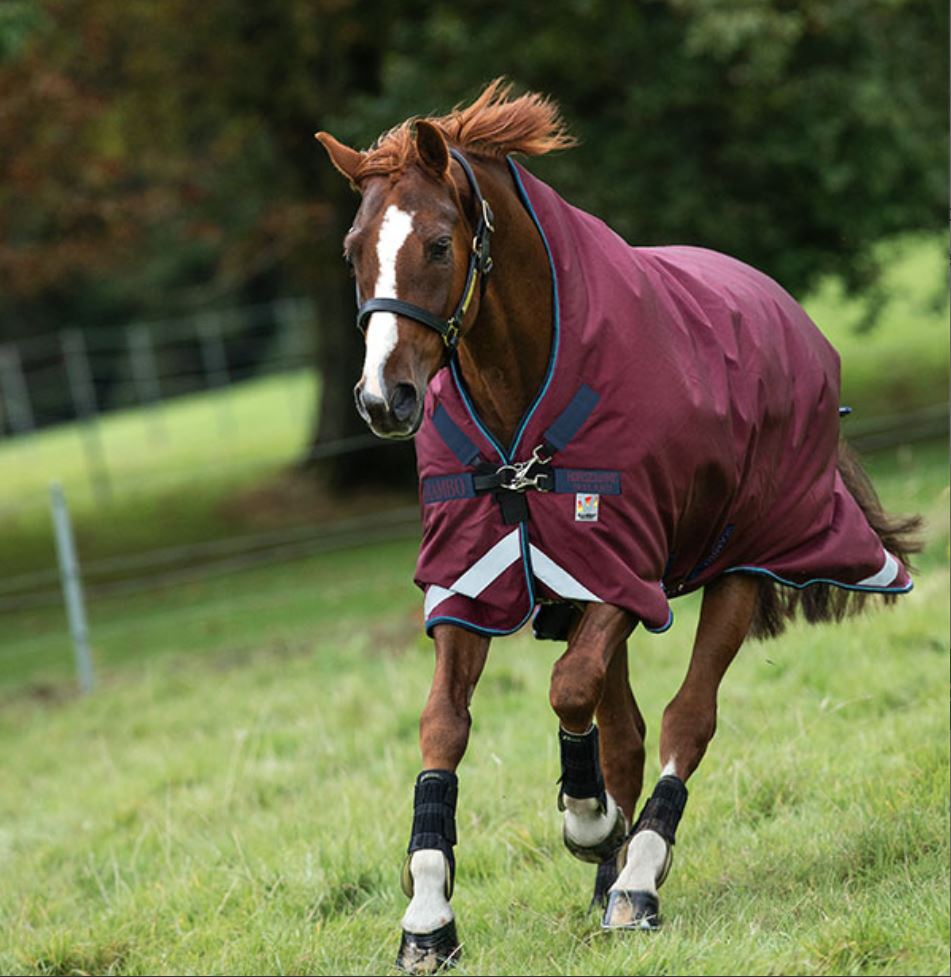 Horseware Ireland Rambo Wug Turnout- Medium (200g)