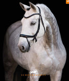 Schockemoehle Sports Equitus Alpha Bridle