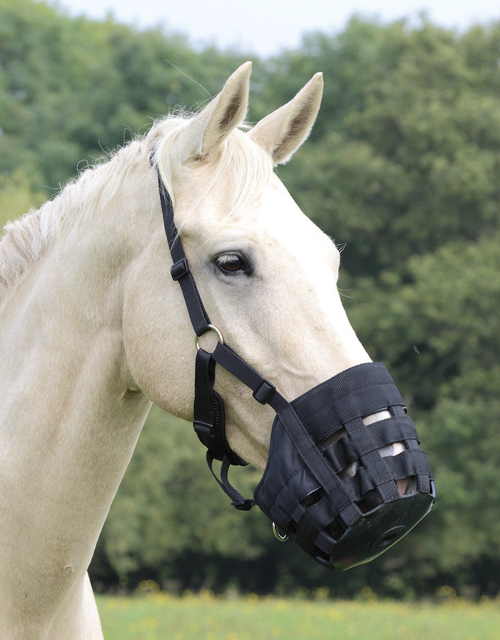 Shires Comfort Grazing Muzzle