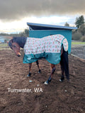 Weatherbeeta ComFiTec Essential Standard Neck Turnout- Medium (220g) - Tack Room Too Exclusive