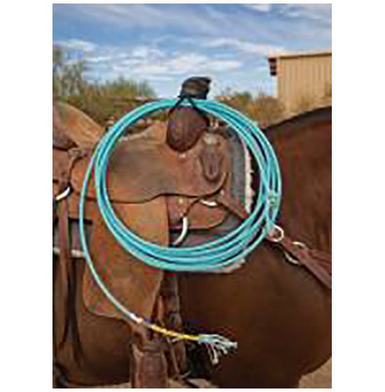 Professional's Choice Rope Holder Bungee