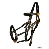 Tucker BioThane Halter Bridle