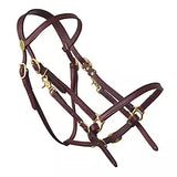 Tucker Halter Bridle
