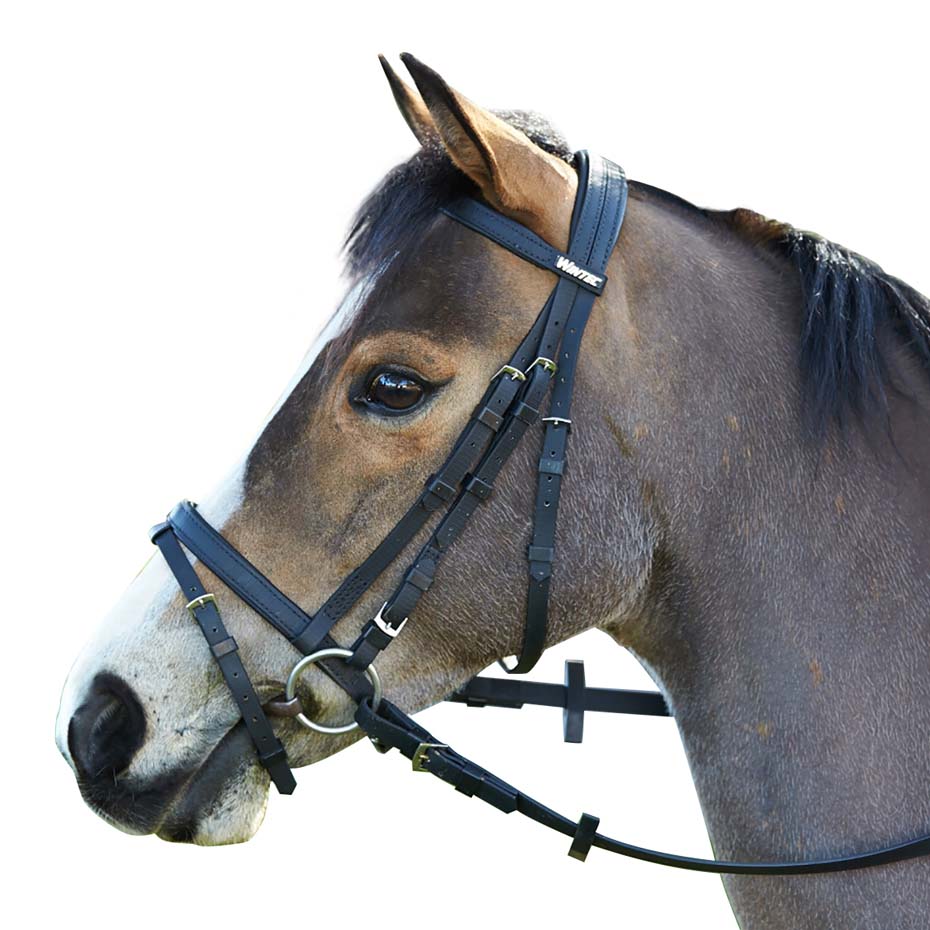 Wintec Synthetic Bridle With Flash