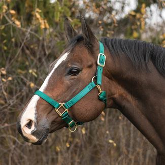 Weaver Adjustable Chin and Throat Snap Halter