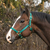 Weaver Adjustable Chin and Throat Snap Halter