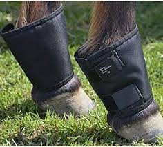 Fetlock Shields