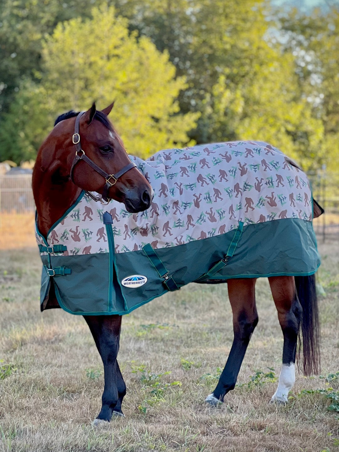 Weatherbeeta ComFiTec Essential Standard Neck Turnout- Medium (220g) - Tack Room Too Exclusive