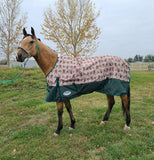 Weatherbeeta ComFiTec Essential Standard Neck Sheet - Lite (0g) - Tack Room Too Exclusive