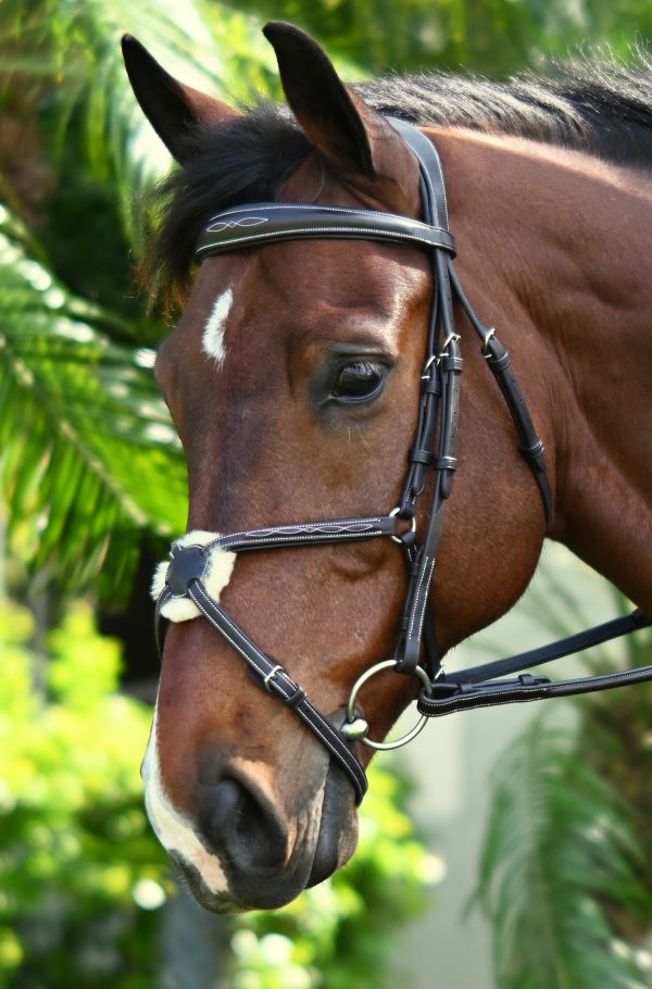 Ovation ATS Fancy Padded Figure 8 Bridle