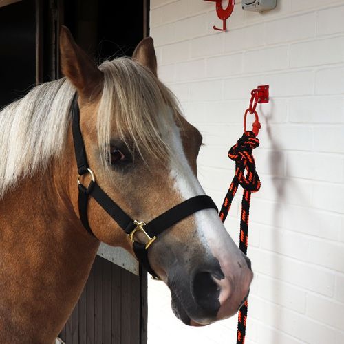 Perry Equestrian Safe - Tie