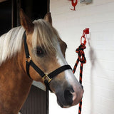 Perry Equestrian Safe - Tie