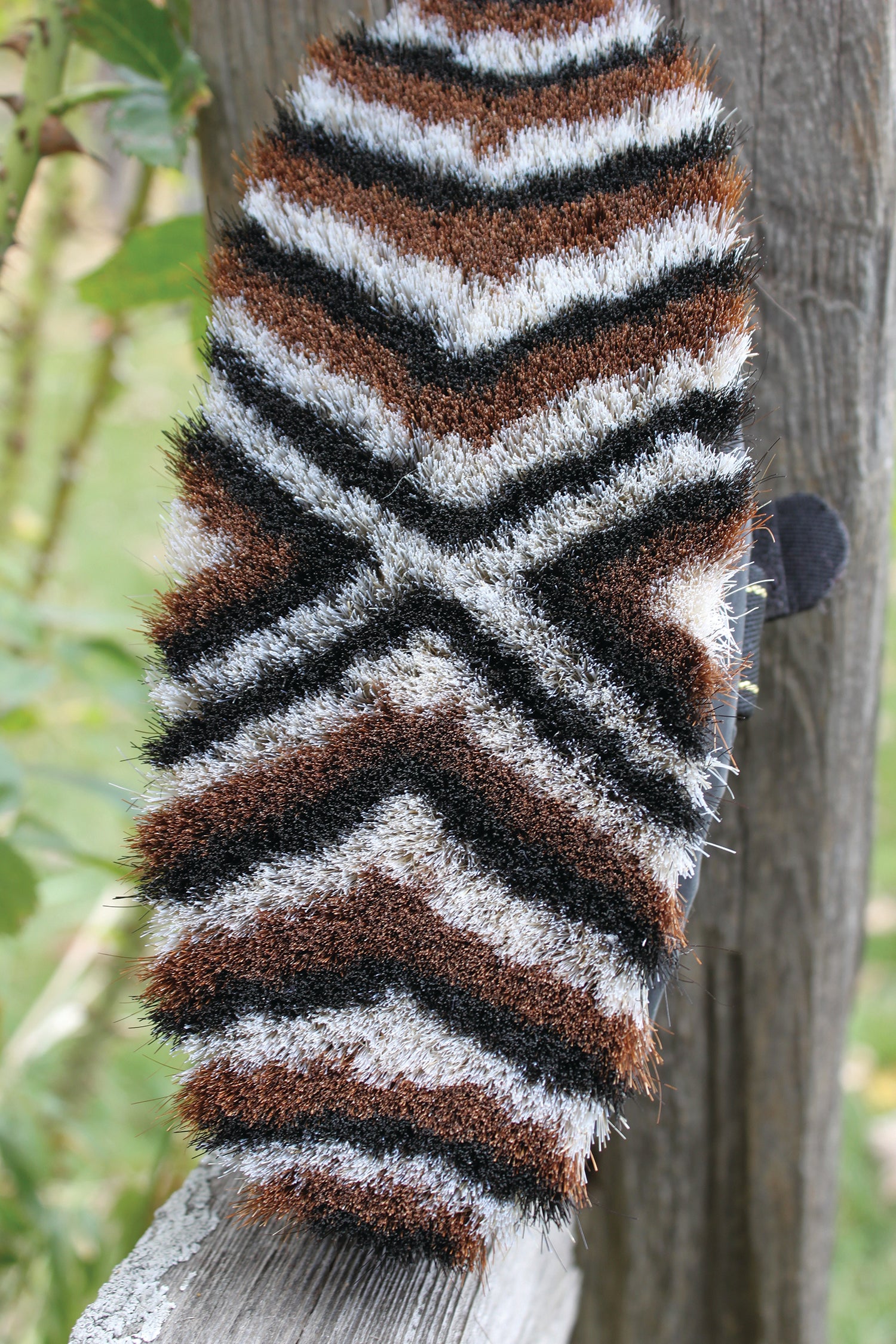 Professional's Choice Soft Touch Poly Brush