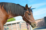 Circus Unicorn Shop Unicorn Horn for Horse