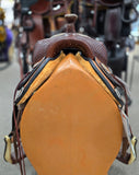 Circle Y Brazos Wood Tree Trail Saddle