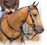 Weaver Leather Back in Black Browband Headstall