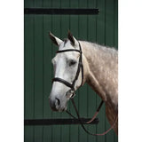 Collegiate Essential Padded Raised Cavesson Bridle