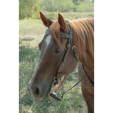 Circle Y Bronco Blue Texas Flower Browband Headstall