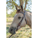 Circle Y Dark Flash Arizona Flower Browband Headstall