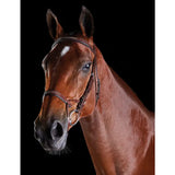 Collegiate Comfitec Fancy Stitch Bridle