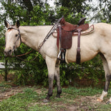 Circle Y Dogwood Breastcollar