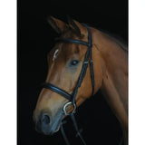 Collegiate Comfort Crown Padded Raised Cavesson Bridle