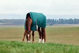 WeatherBeeta ComFiTec Plus Dynamic Turnout - High Neck - Forest Green / Navy (220g)