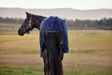 Weatherbeeta ComFiTec Prelim Turnout - Navy Embossed Plaid (220g)
