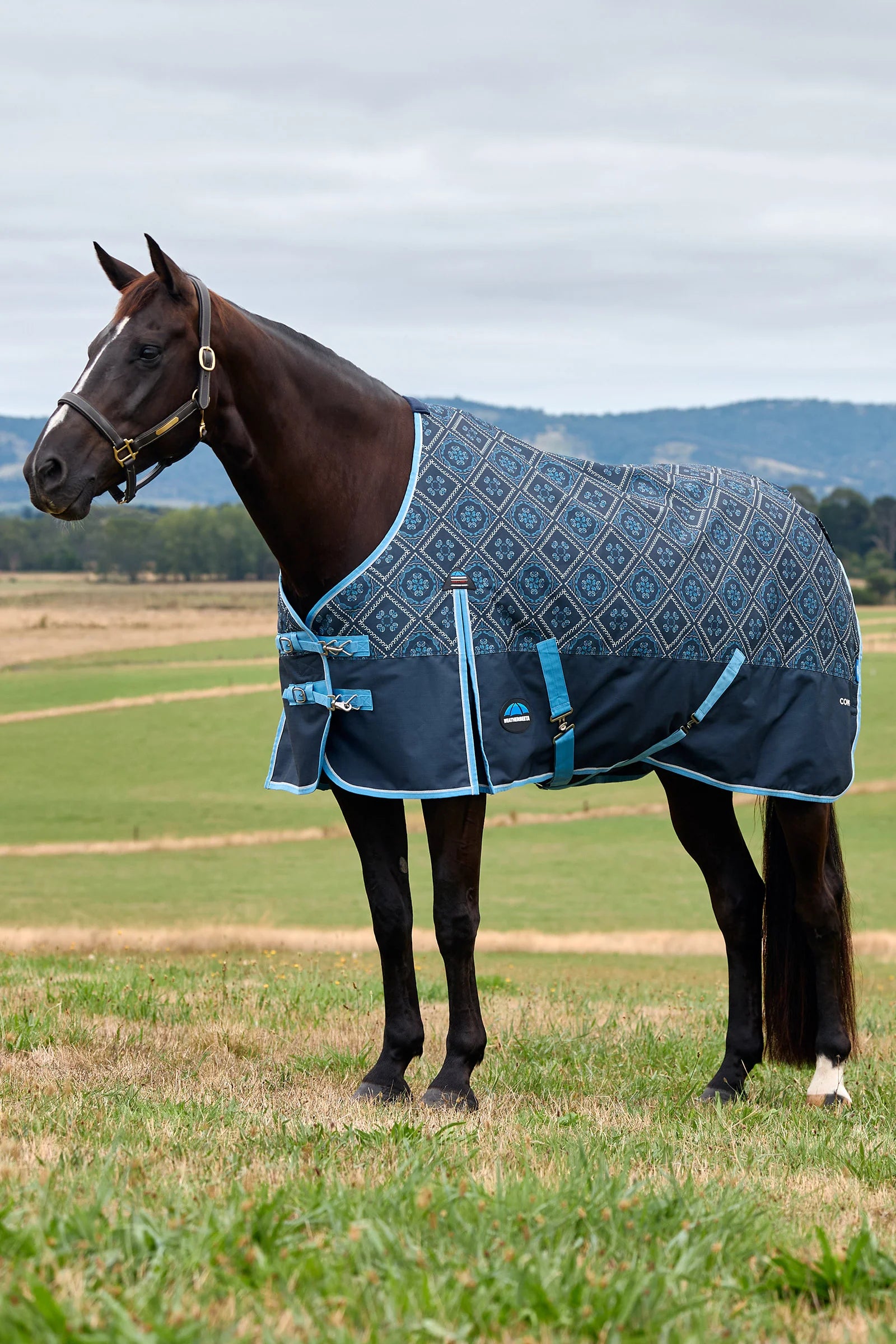 WeatherBeeta ComFiTec Heritage Turnout 100G Paisley Print