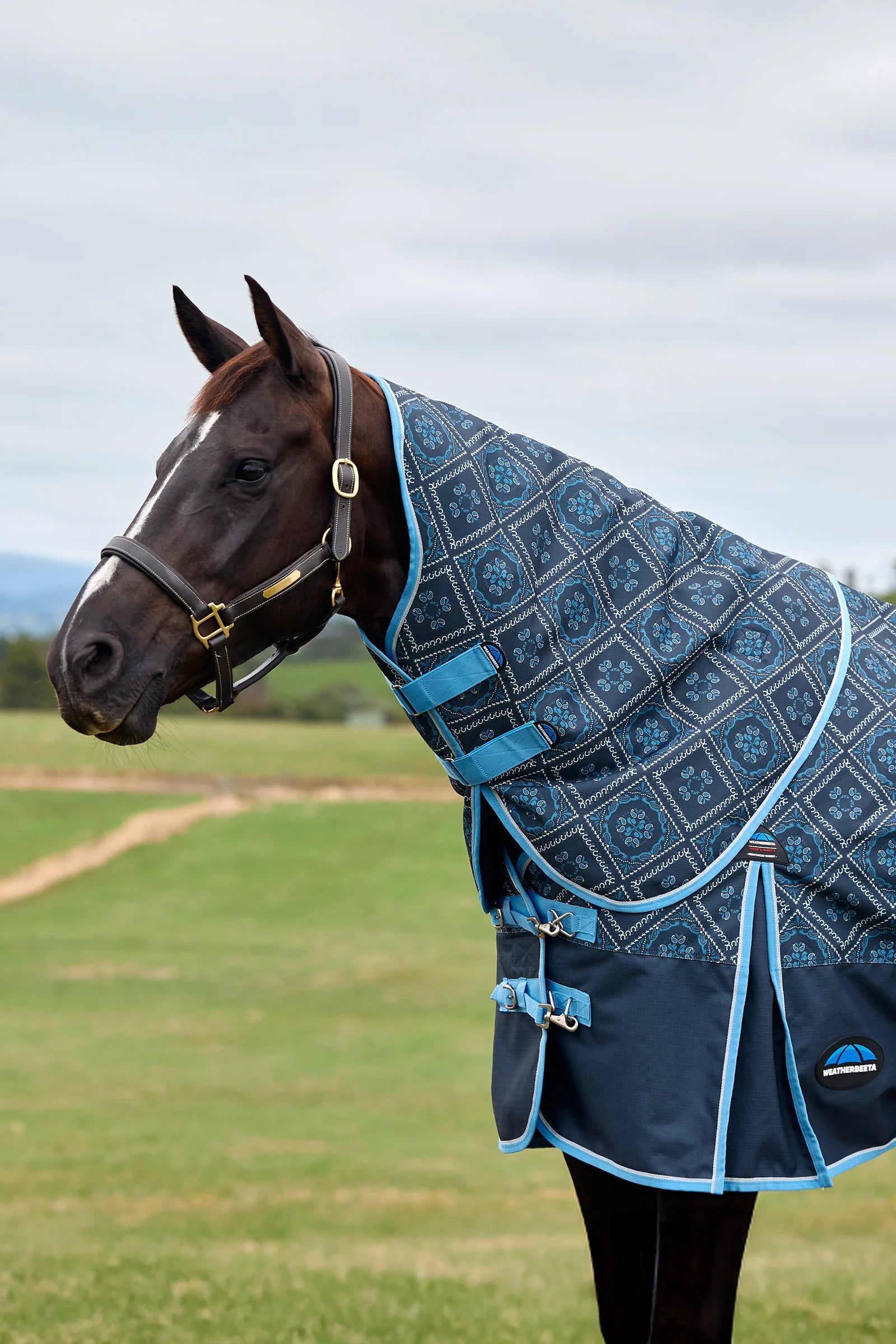 WeatherBeeta ComFiTec Heritage Turnout Neck Cover 220G Paisley Print