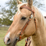 Circle Y Dawson Shaped Brow Headstall