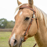 Circle Y Dawson Shaped Brow Headstall