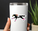 Horse 3" Sticker Waterproof | TB Race | Cello Sleeved