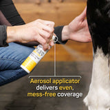 Silver Honey Rapid Wound Repair Maximum Strength Dry Spray