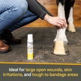 Silver Honey Rapid Wound Repair Maximum Strength Dry Spray
