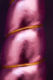 Circus Unicorn Shop Unicorn Horn for Horse