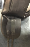 C2800 Hary Dabbs Dressage