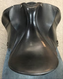 C2800 Hary Dabbs Dressage
