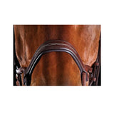 Collegiate Comfitec Fancy Stitch Bridle