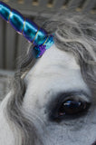Circus Unicorn Shop Unicorn Horn for Horse