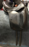 C2800 Hary Dabbs Dressage