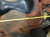 C2770 Scott Thomas Reiner 16" Wide Tree
