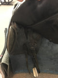 C2774 Used Duet Tango Dressage/Trail 17 1/2" 36 CM Wide Saddle