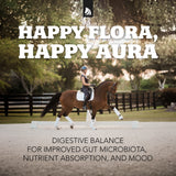 Redmond Daily Gold Horse Supplement