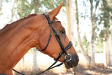 Vivace Equine Estrella Snaffle Bridle