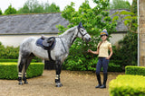 LeMieux Loire Fly Hood