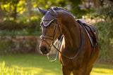LeMieux Loire Fly Hood