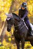 LeMieux Classic Fly Hood
