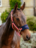 LeMieux Vogue Headcollar & Leadrope