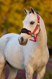 LeMieux Mini Vogue Headcollar & Leadrope